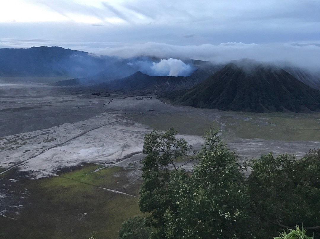 Javana Volcano Tour景点图片