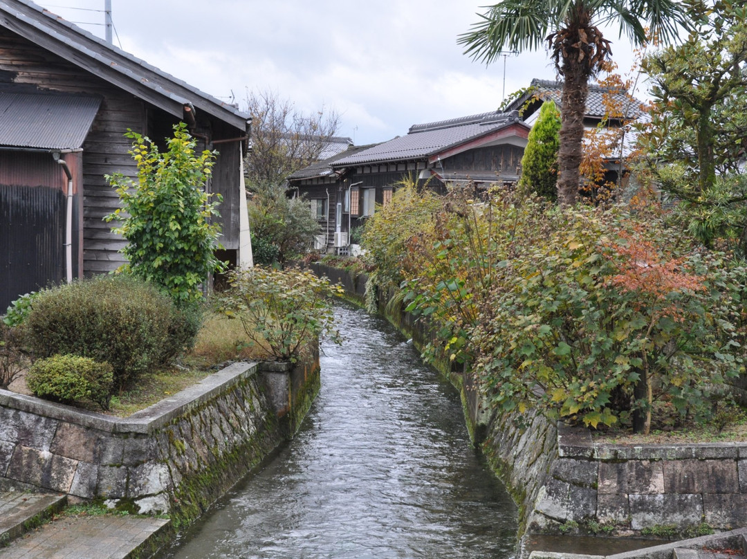 高岛市旅游攻略图片