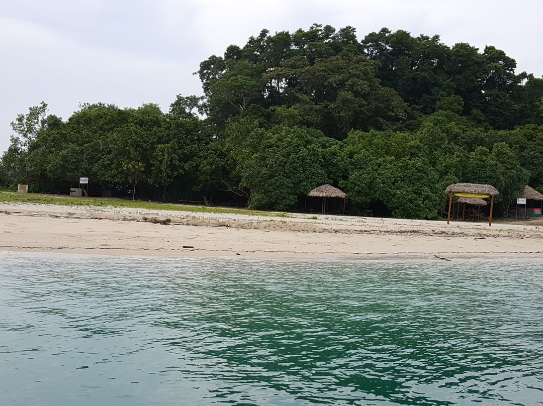 Mahatma Gandhi Marine National Park景点图片