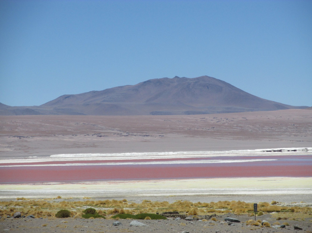 Laguna Hedionda景点图片