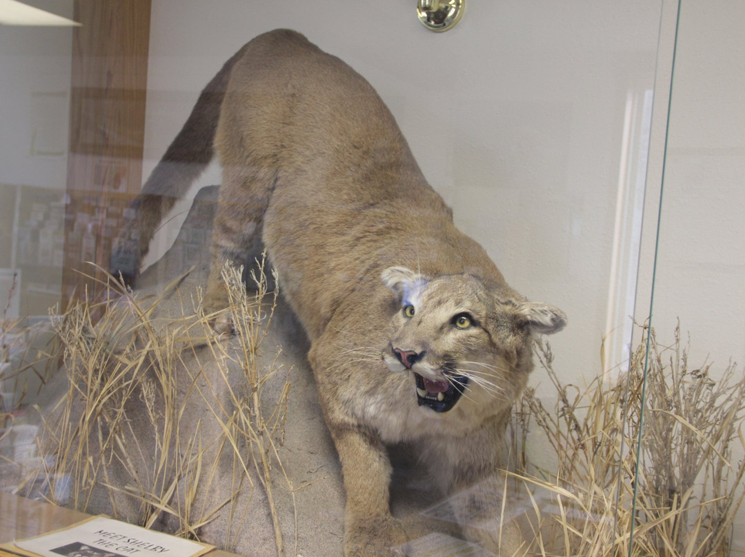 Shelby Area Chamber of Commerce Office and Visitor Information Center-Shelby必去景点