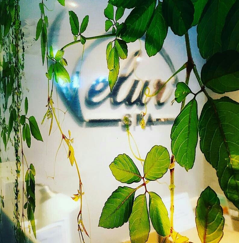 Velur Spa-地拉那必去景点