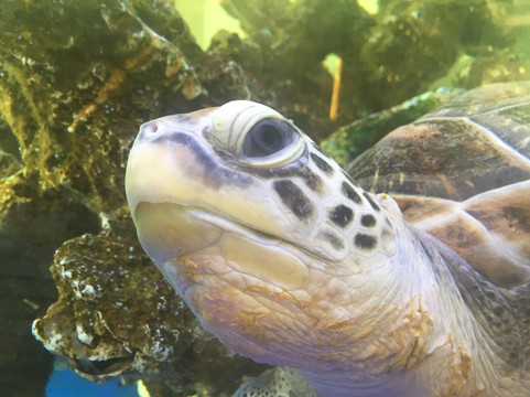 台州方远酒店式公寓主图