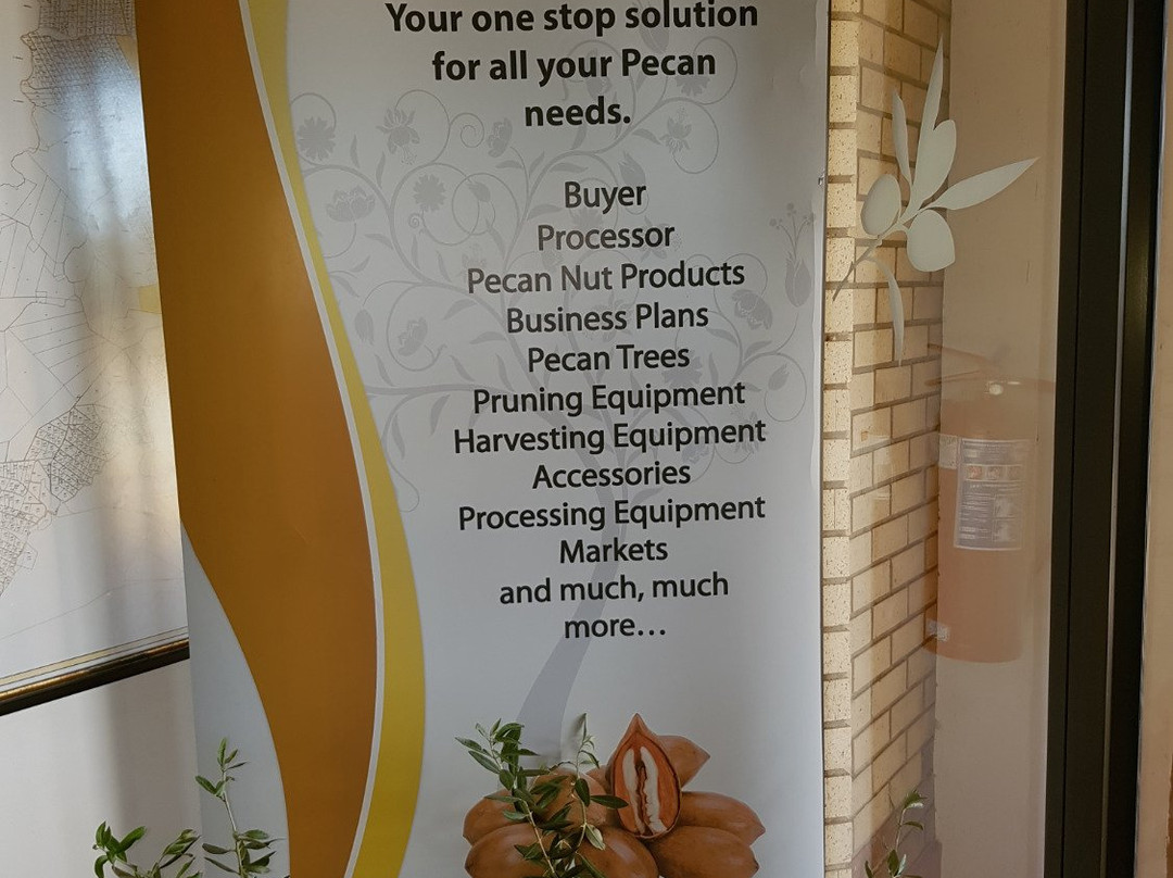 Olives South Africa-Hartswater必去景点