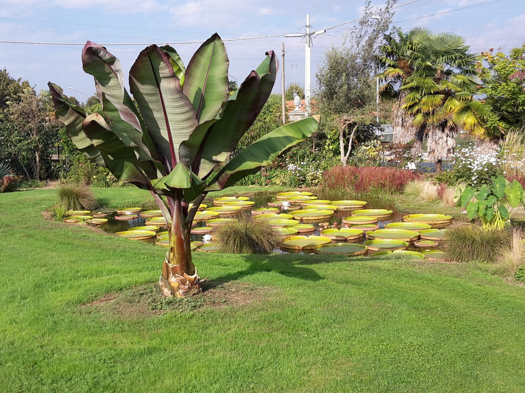 Giardino Botanico di Villa Bricherasio景点图片