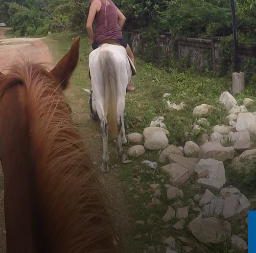 Ranch of the Plantation景点图片