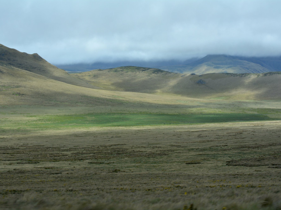 Reserva Ecologica Antisana-Cayambe必去景点