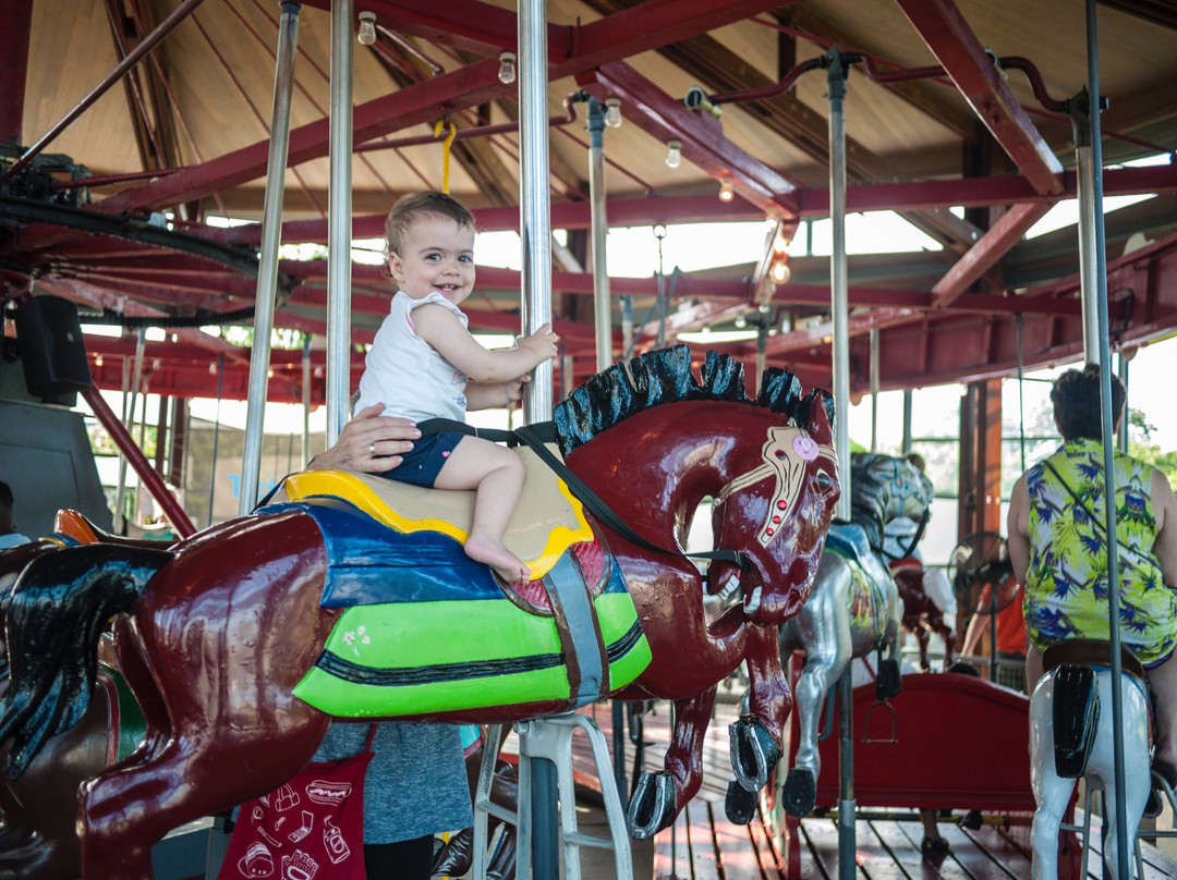 Antique Carousel景点图片