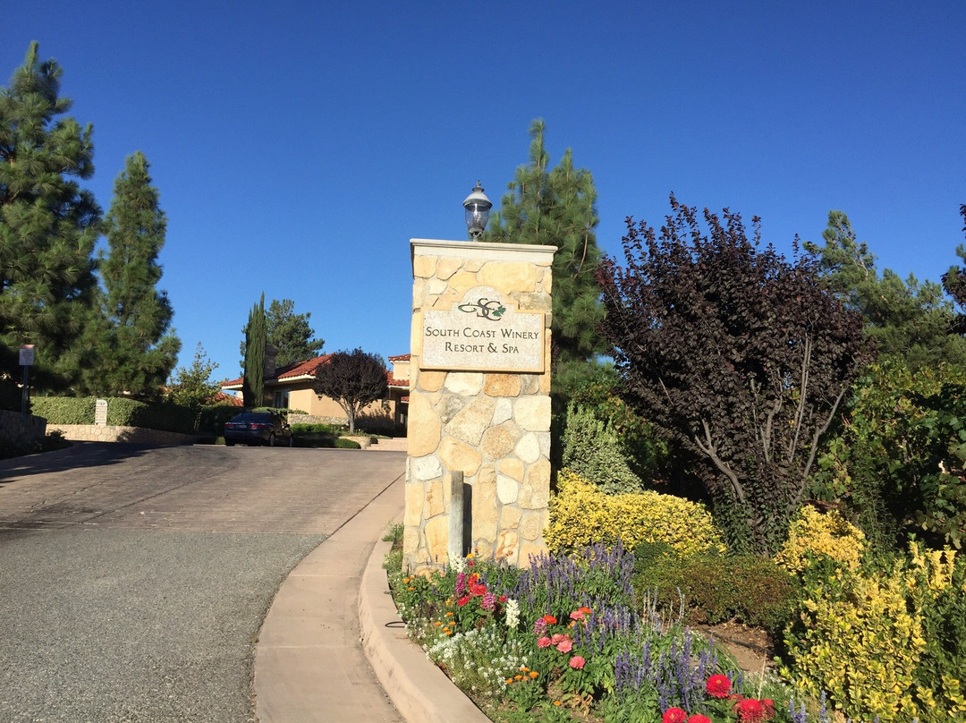 South Coast Winery-特曼库拉必去景点