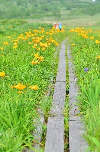 Uryunuma Moor-雨竜町必去景点