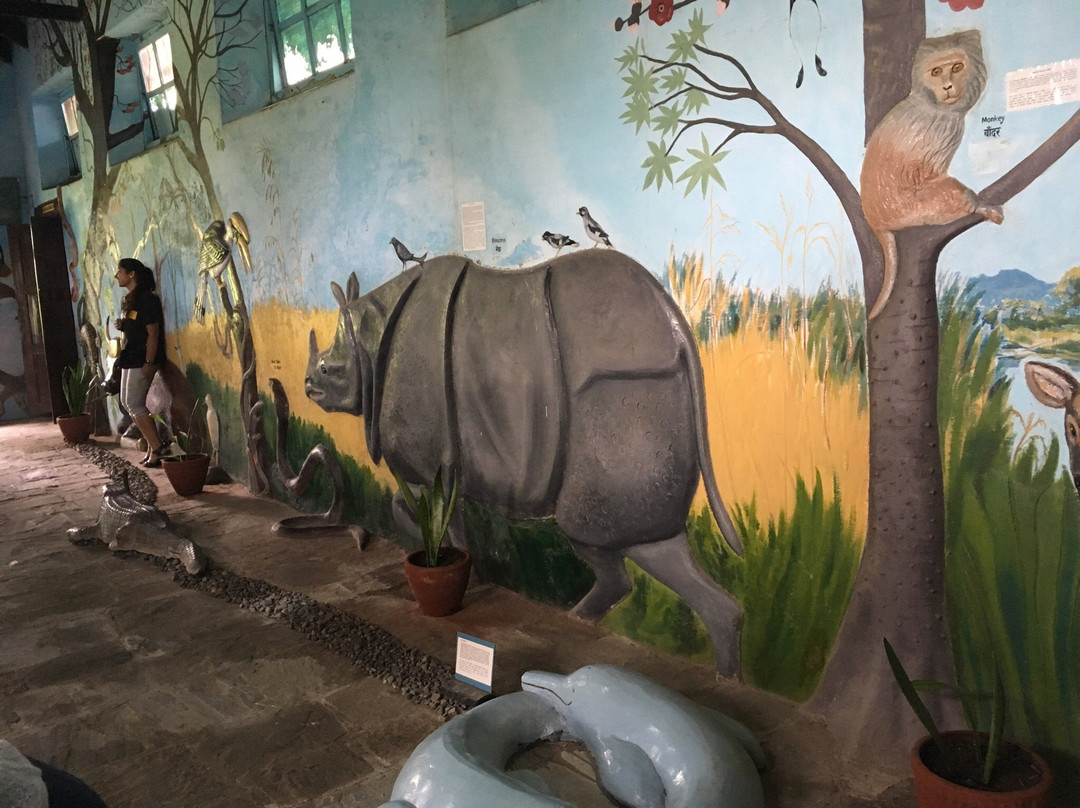 Annapurna Butterfly Museum-博卡拉必去景点