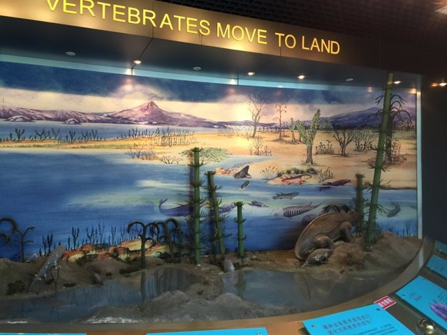 南京古生物博物馆-南京市必去景点