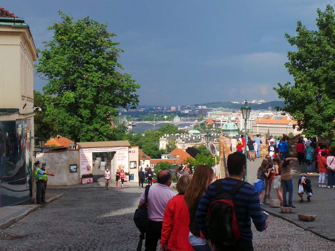 Prag Stadtfuhrung景点图片