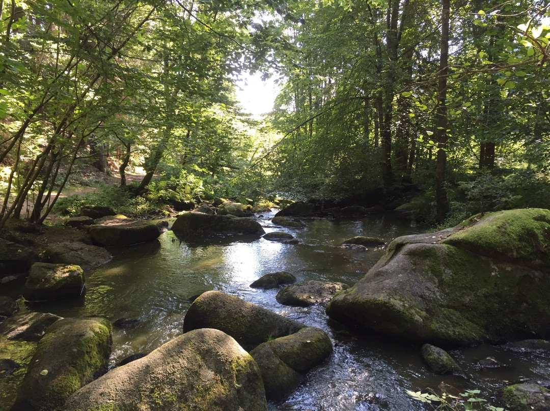 Naturschutzgebiet Hölle-Rettenbach必去景点