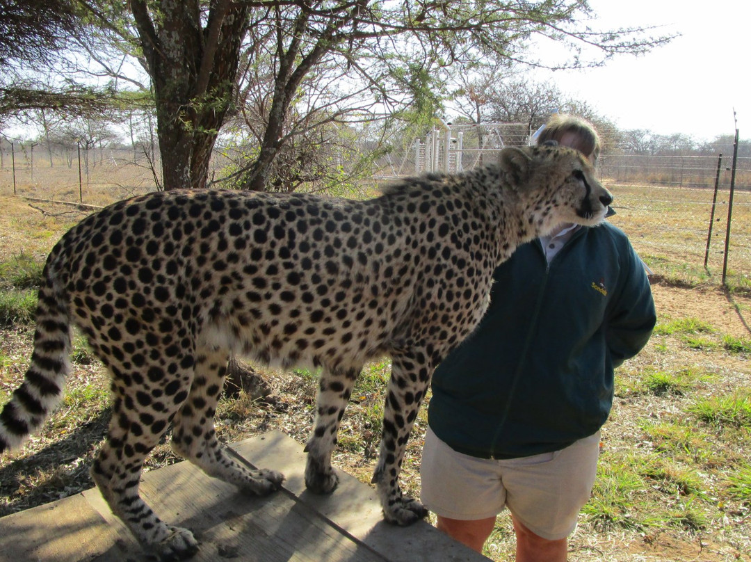 Sondela Rehab Centre Bela Bela-贝拉贝拉必去景点