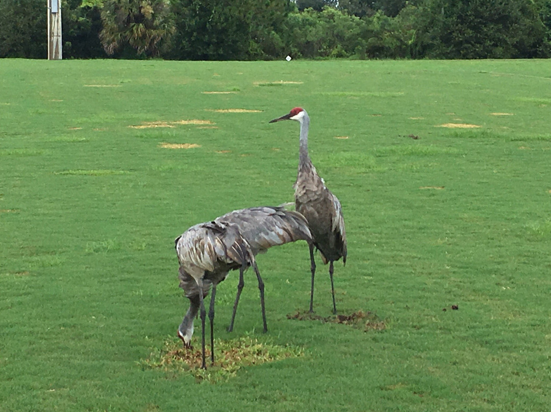 Halpatiokee Regional Park-斯图尔特必去景点