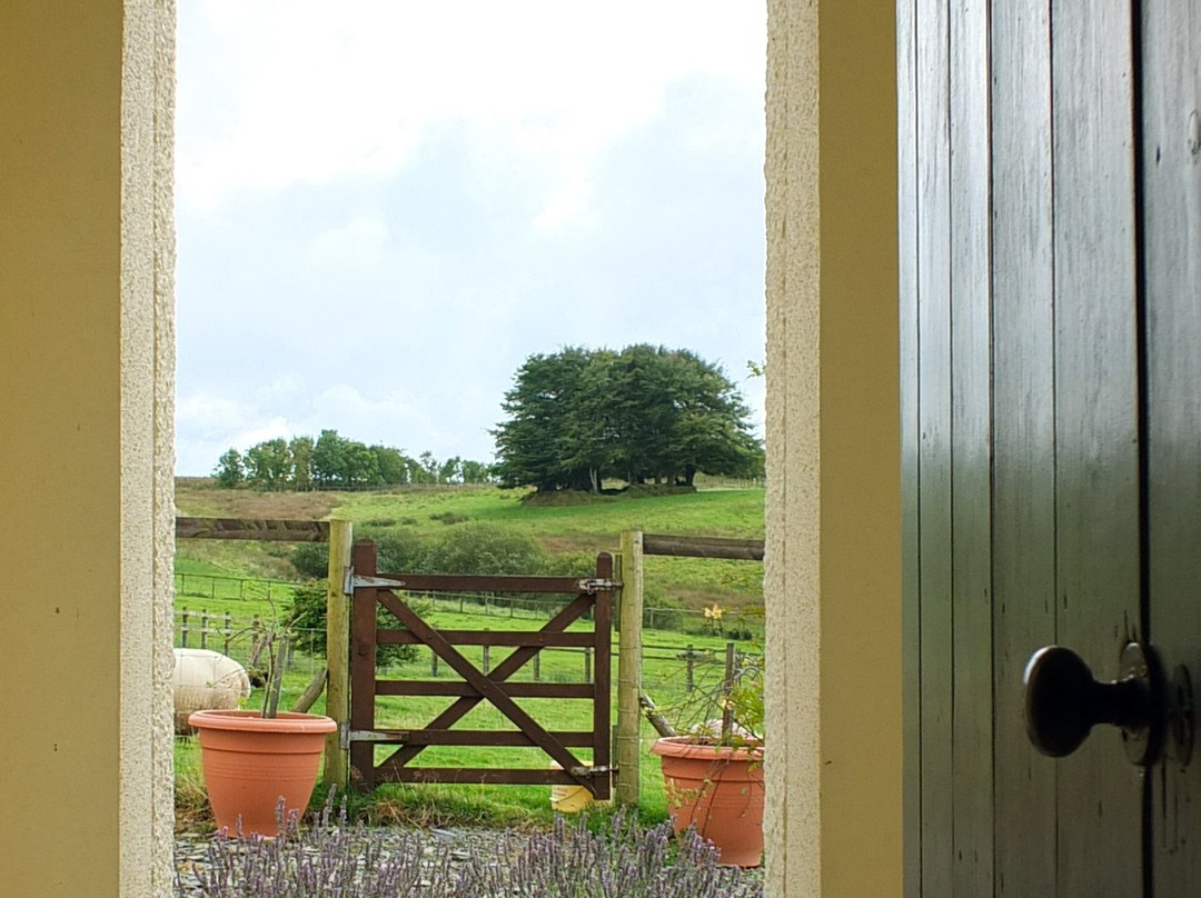 Shoulsbarrow Farmhouse B&B主图