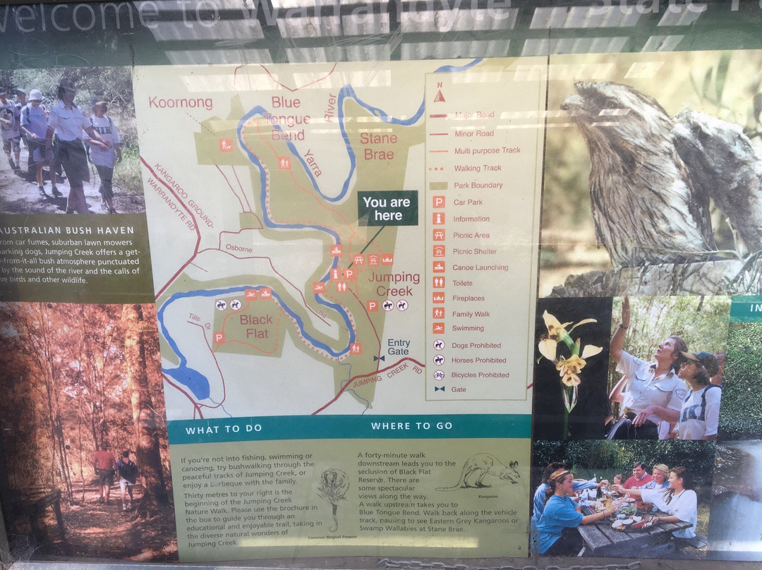 Jumping Creek Reserve-Warrandyte必去景点