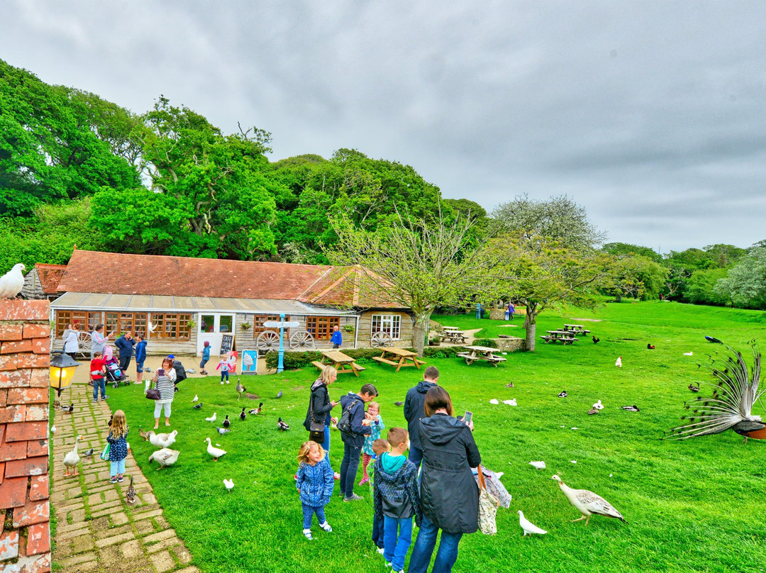 The Water Mill & Museums