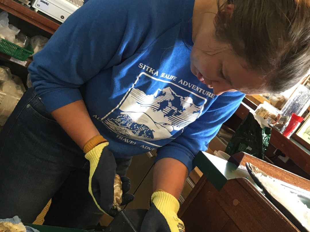 Coal Point Seafoods-荷马必去景点