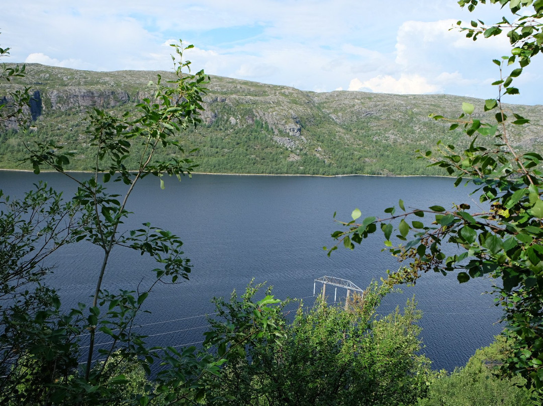 Pasvik Nature Reserve景点图片