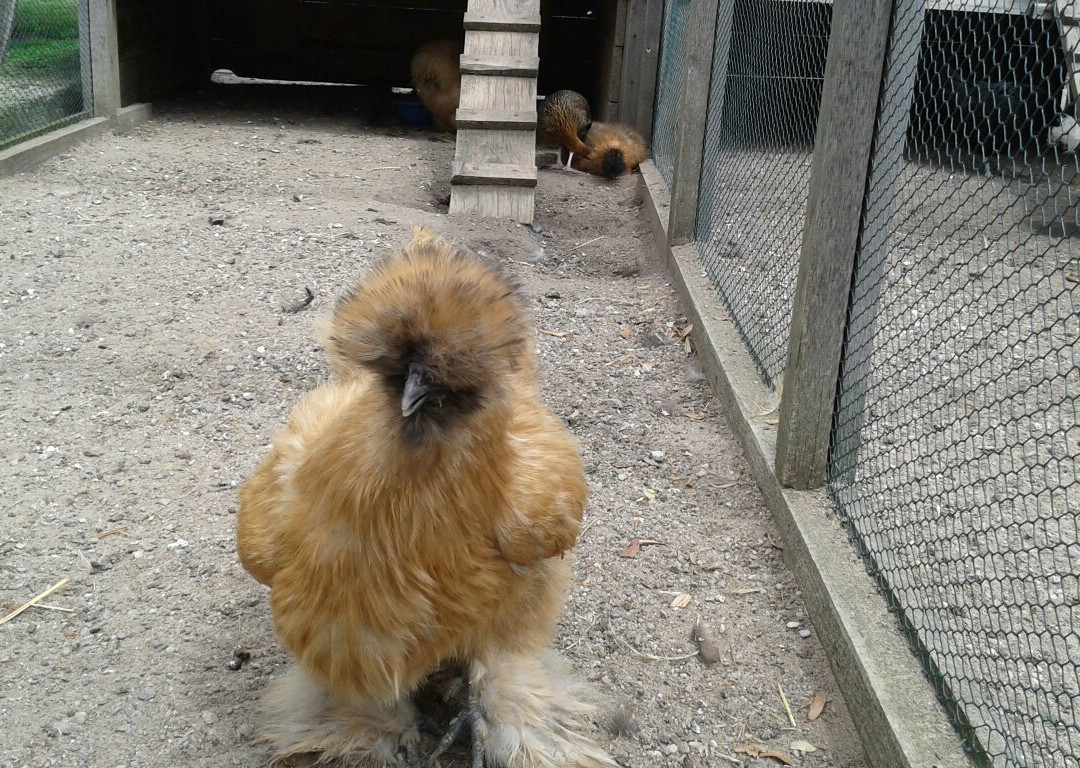 ZOO Chleby-Chleby必去景点