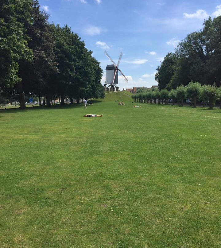 Bruges to Damme Bike Tour景点图片