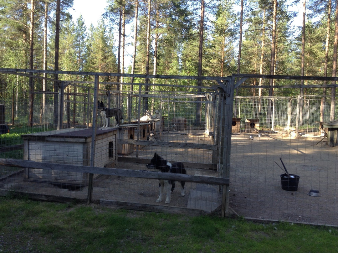 Routa Travel-Kuhmo必去景点