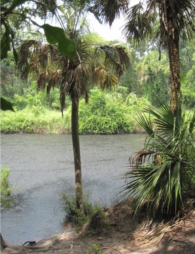 Rye Preserve-布雷登顿必去景点