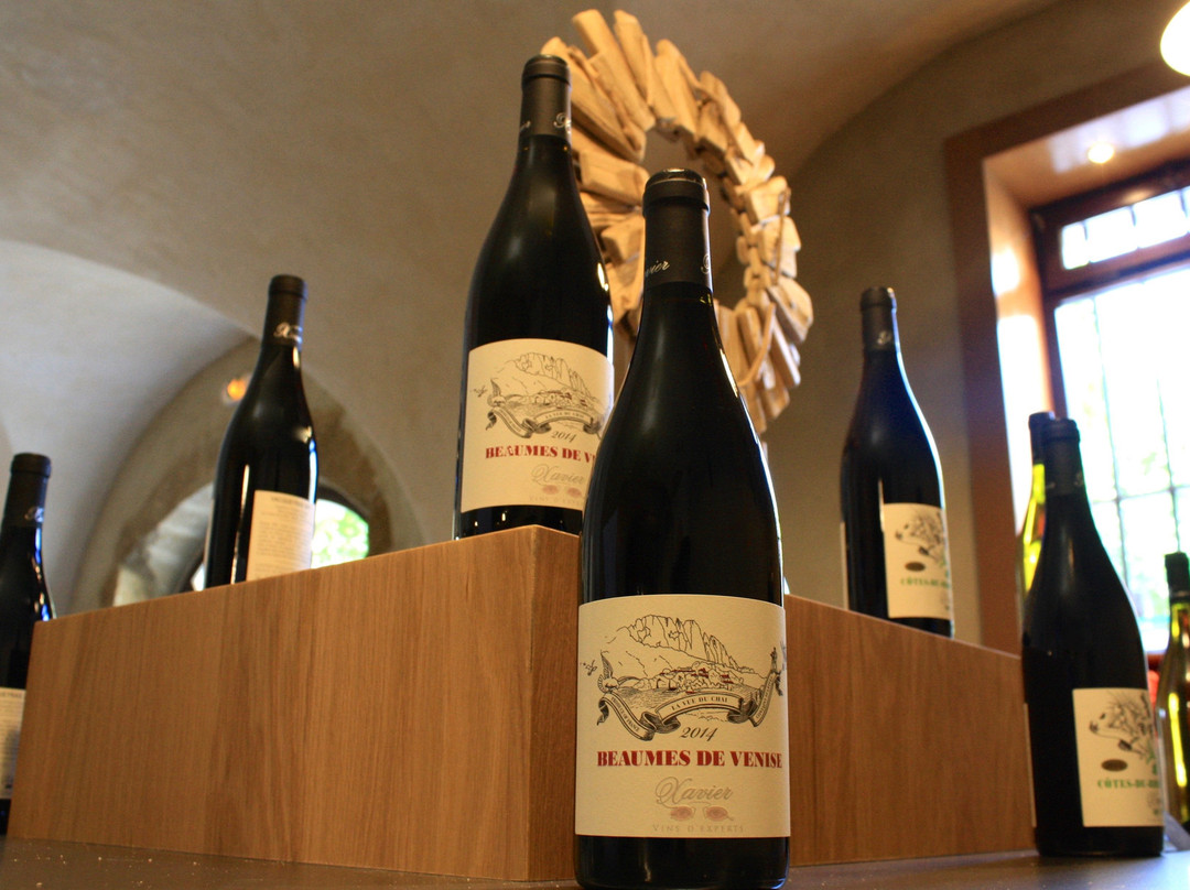 Caveau Xavier Vins - Domaine de Beaumalric景点图片