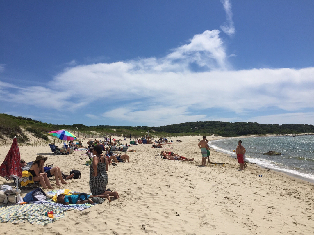 Lambert's Cove Beach景点图片