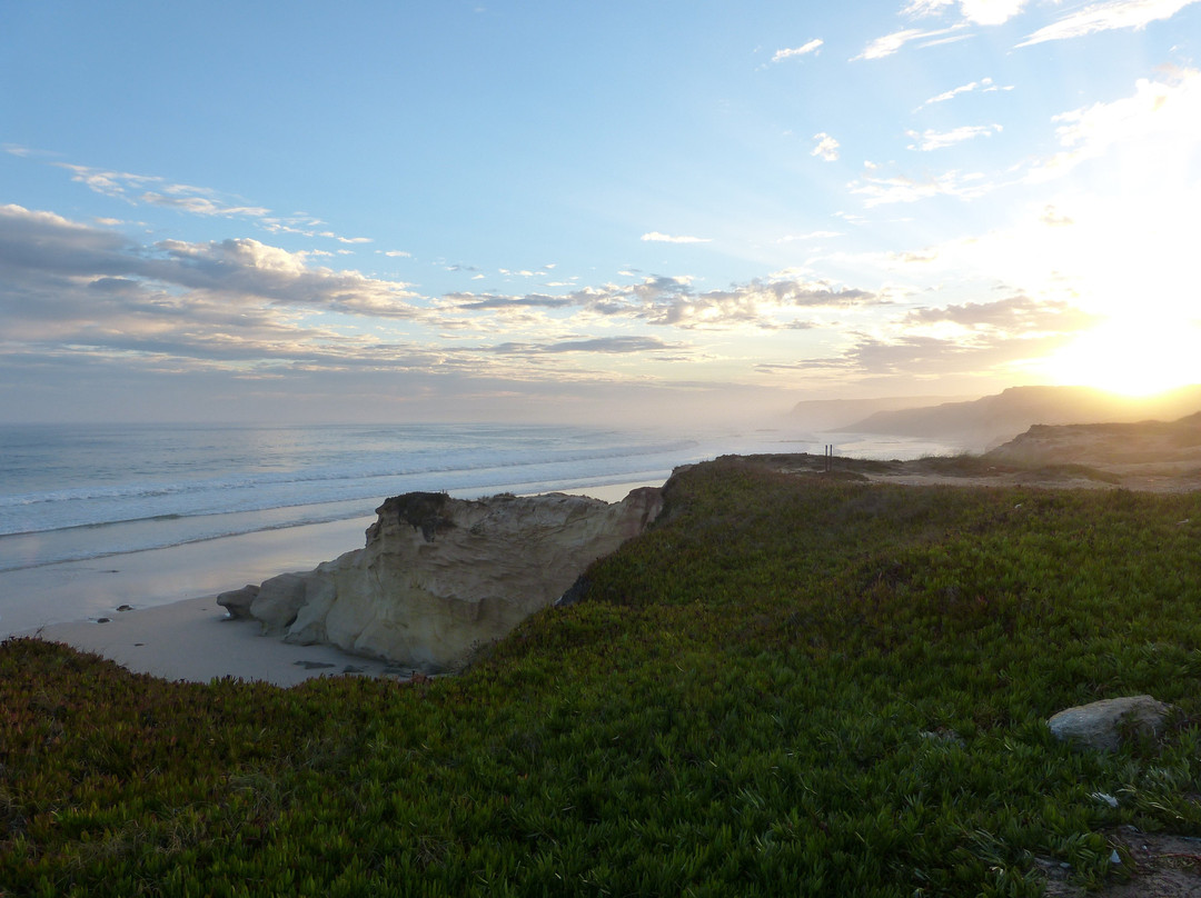 SoulSurfcamp