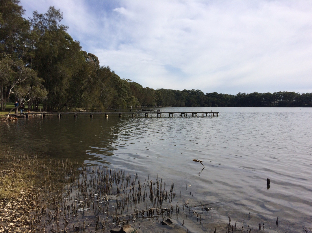 Queens Lake Walking Track-Laurieton必去景点