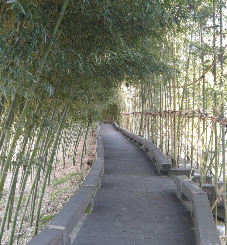 Korea Bamboo Museum-潭阳郡必去景点