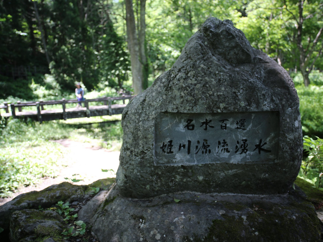 Himegawa Headwaters Natural Garden景点图片