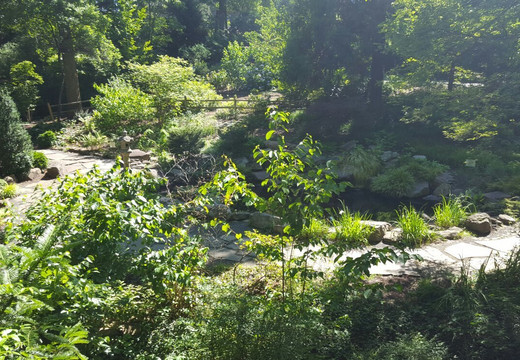 UNC Charlotte Botanical Gardens-夏洛特必去景点