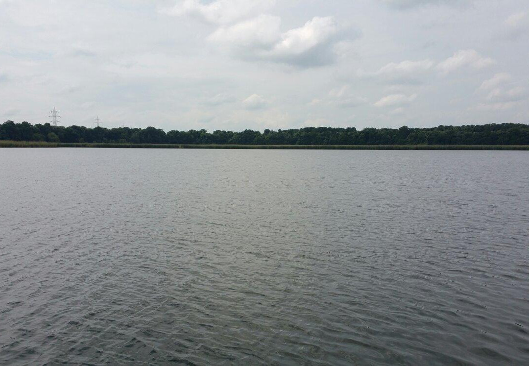 Cernica旅游攻略图片