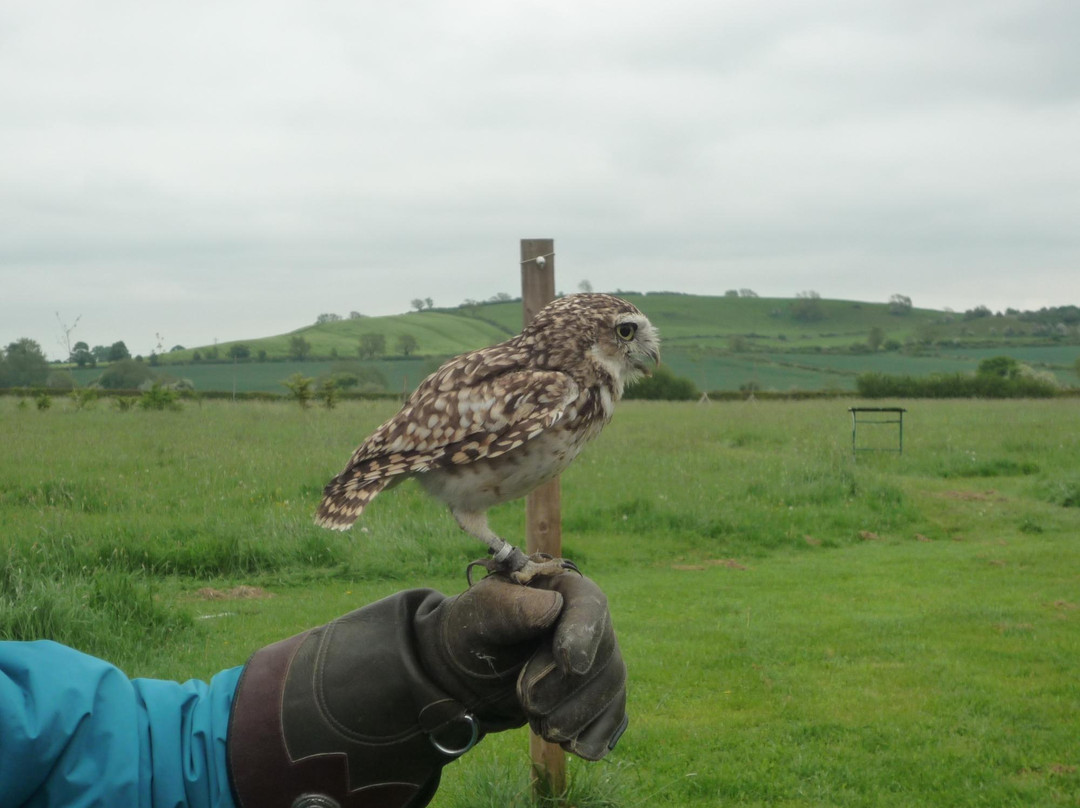 Church Langton旅游攻略图片