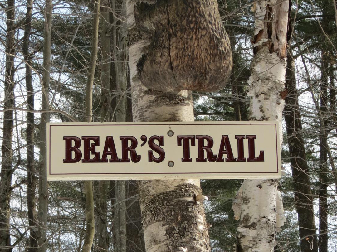 Cady Hill Forest-斯托必去景点