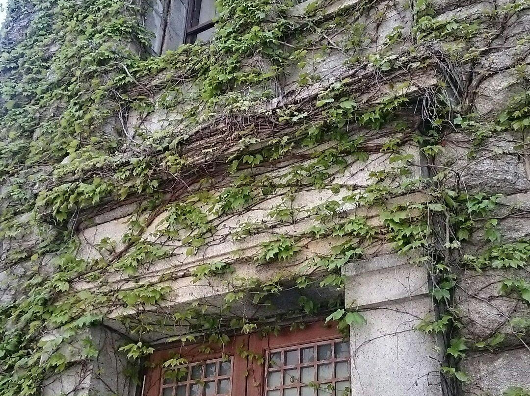 Ashiya City Library Uchide-芦屋市必去景点