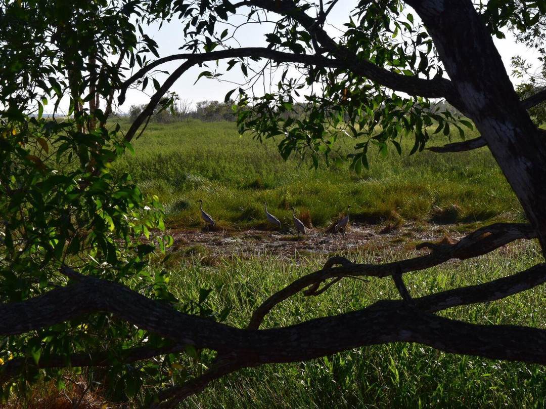 Litchfield Day Tours-Adelaide River必去景点