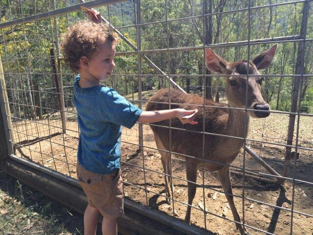 Lyell Deer Sanctuary景点图片