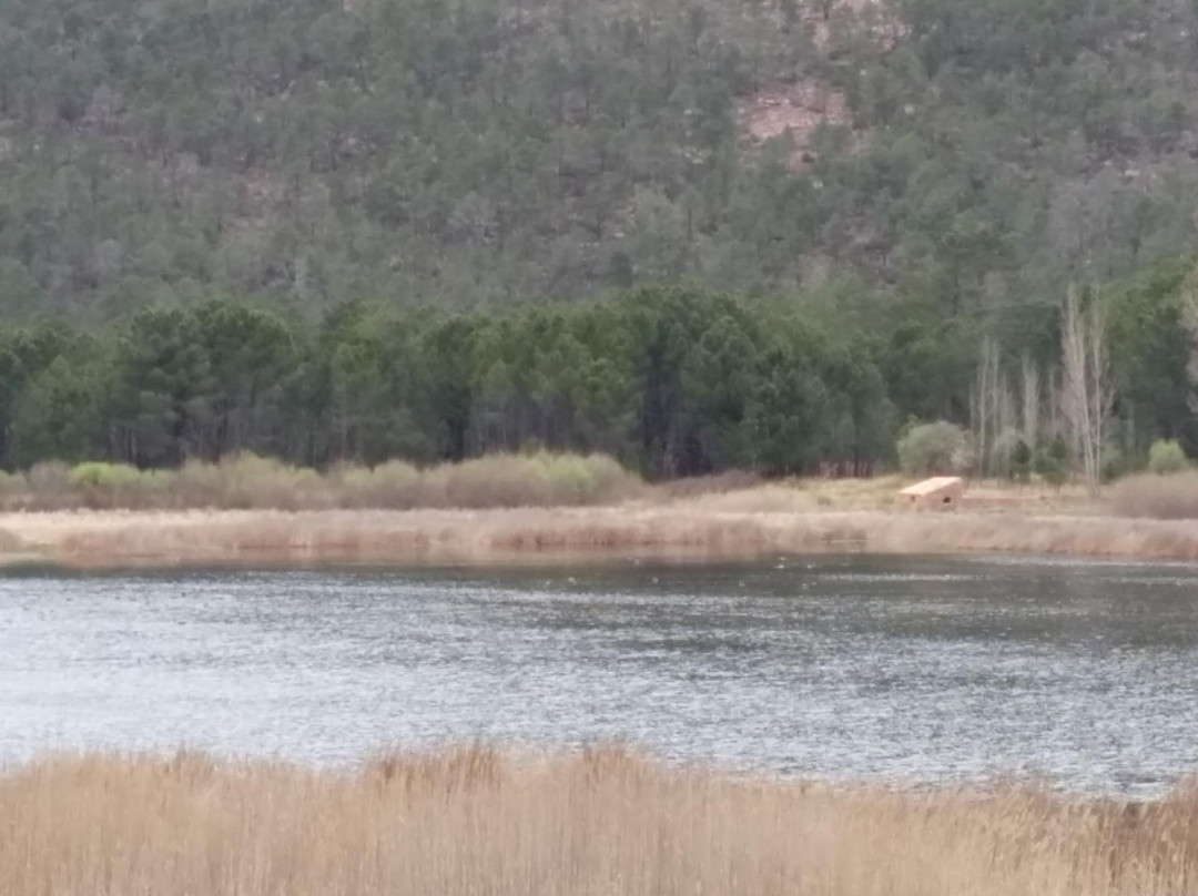 Laguna de Talayuelas景点图片