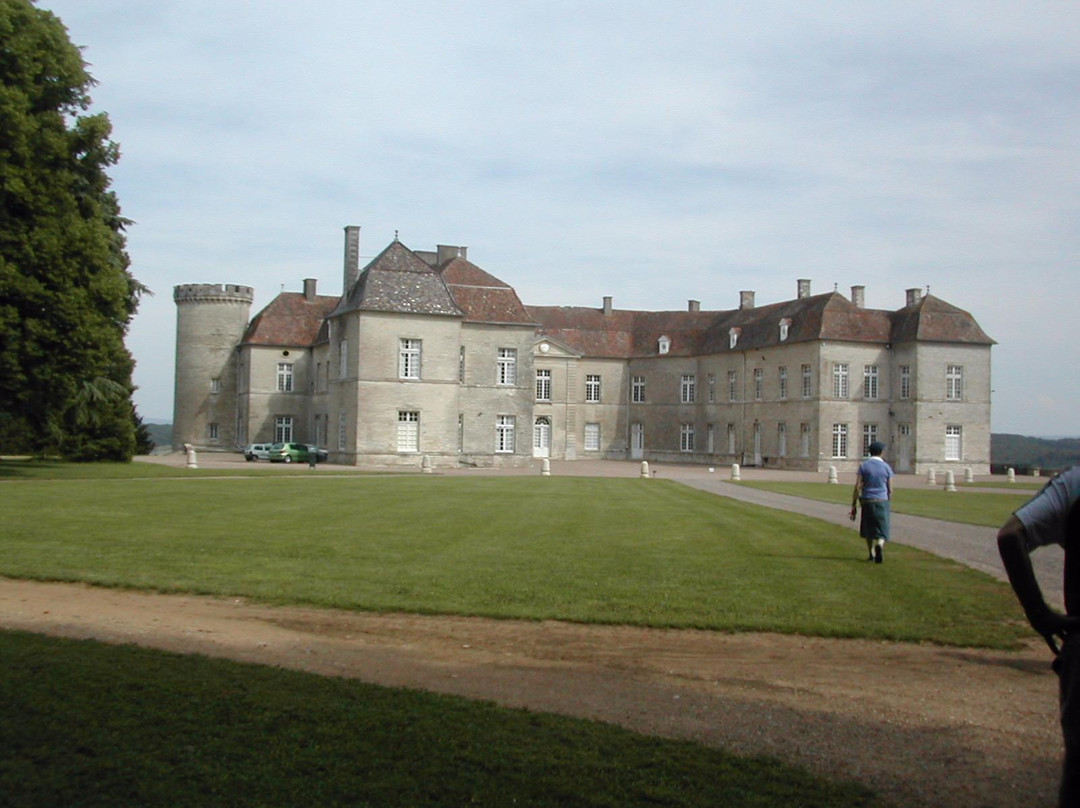 Château de Ray-sur-Saône景点图片