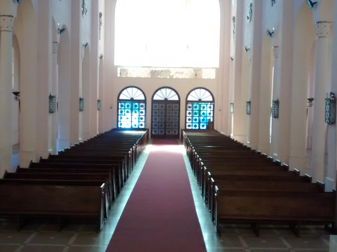 Catedral de Talca-塔尔卡必去景点