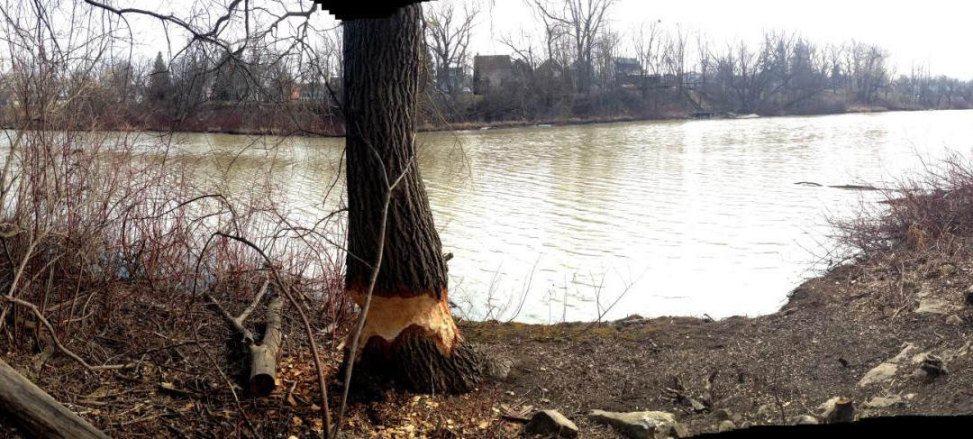 Merritt Island-Welland必去景点