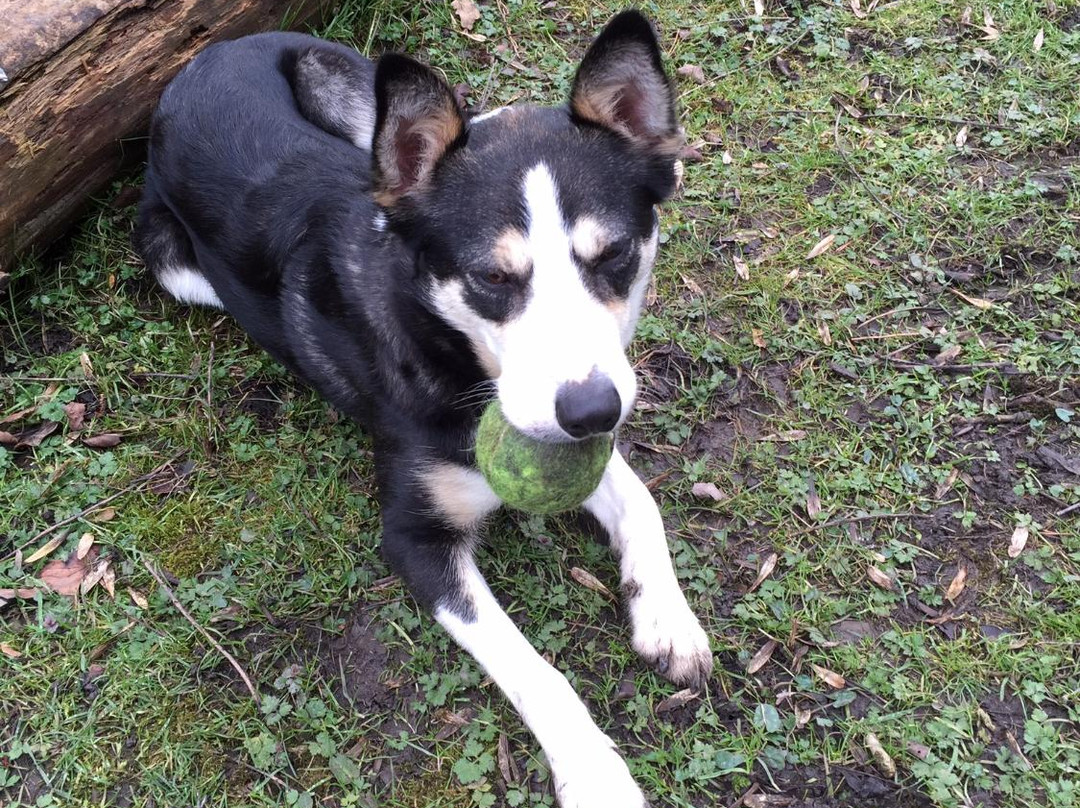 Forest of Dean Adventure Activities-Coleford必去景点