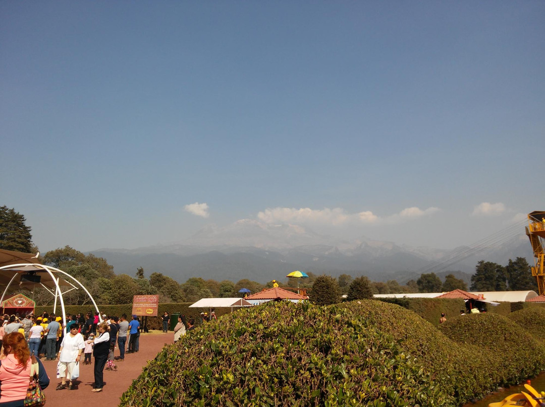 Parque de Los Venados Acariciables景点图片