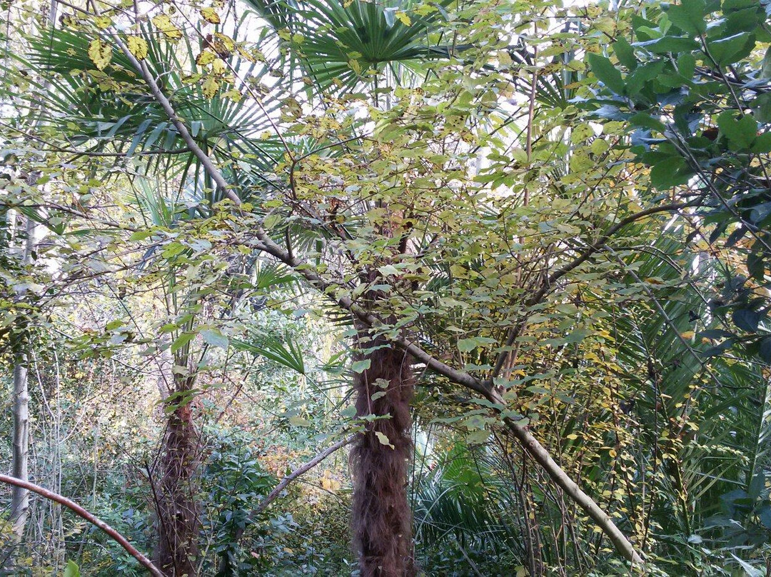 Parco Giardino dei Ligustri - Giardino Pittoresco-Loreto Aprutino必去景点