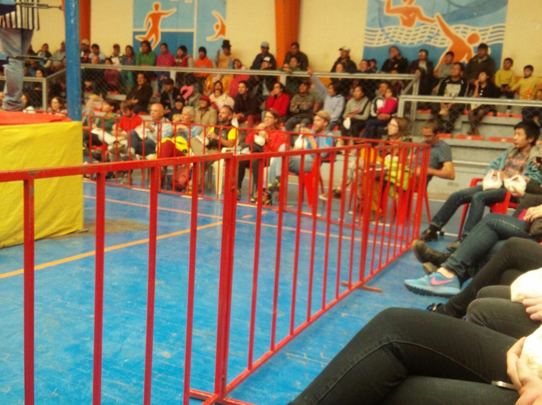 Ernesto Che Guevara Statue-El Alto必去景点